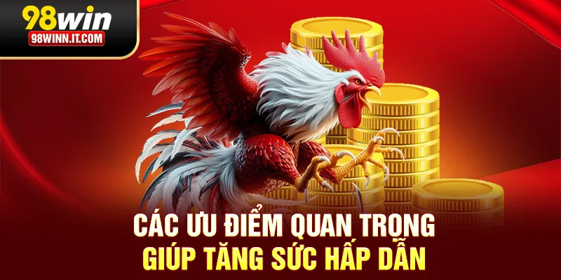 C&aacute;c ưu điểm quan trọng gi&uacute;p tăng sức hấp dẫn